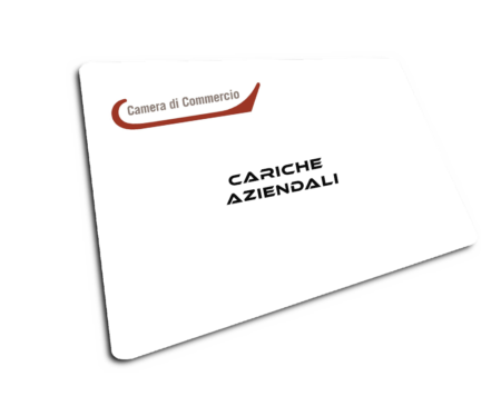 Cariche Aziendali