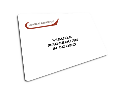 Visura Procedure in corso